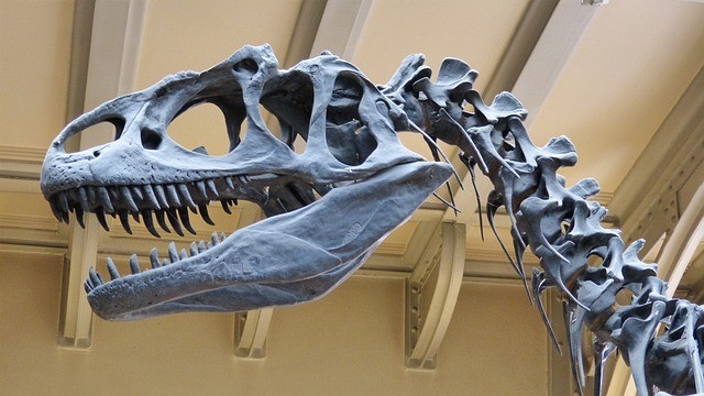 museo de los dinosaurios en burgos