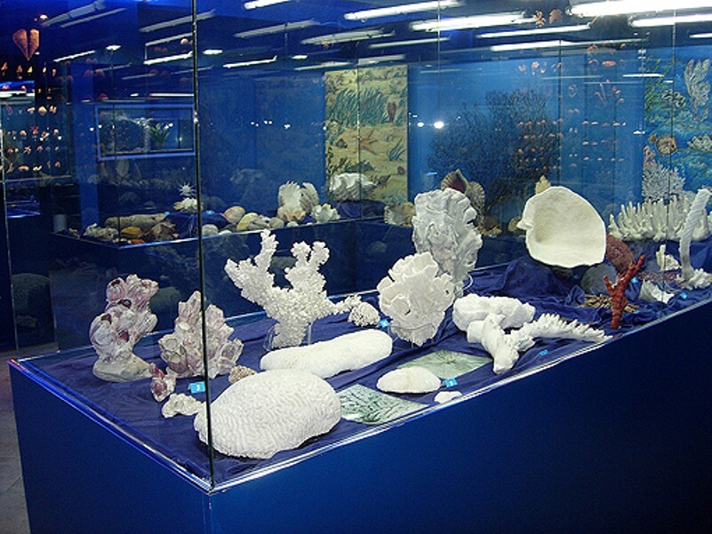 Museo Nautilus qué ver en Mutriku