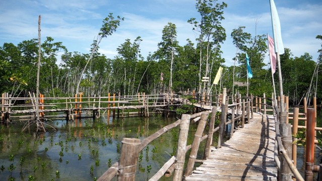 Obo-ob Mangrove Eco Park